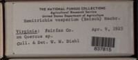 Image Associated With the Occurence
